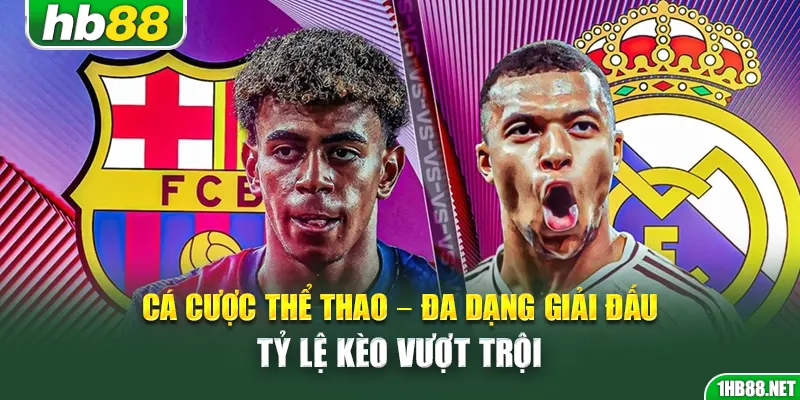 Cá cược thể thao HB88 – Đa dạng giải đấu, tỷ lệ kèo vượt trội
