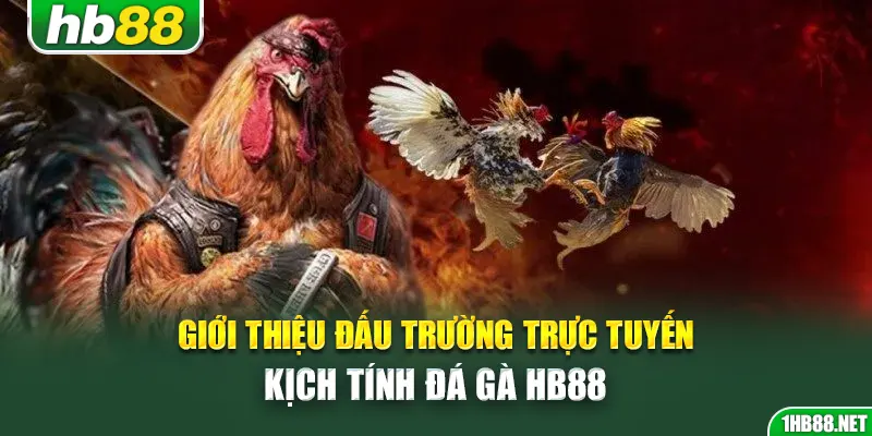 Giới thiệu đấu trường trực tuyến kịch tính đá gà Hb88