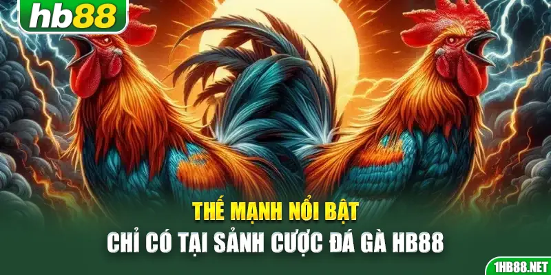 Thế mạnh nổi bật chỉ có tại sảnh cược đá gà Hb88