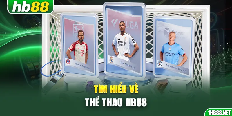 Tìm hiểu về thể thao Hb88